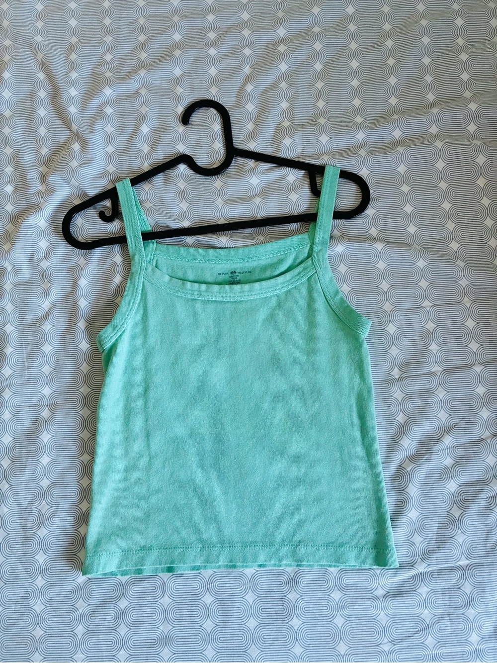 Brandy Melville Mint Green Cropped Tank